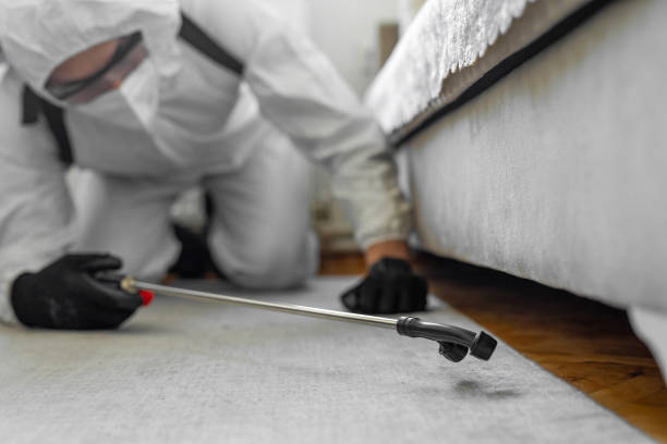 Professional Termite Control technician working in Lawtey, FL