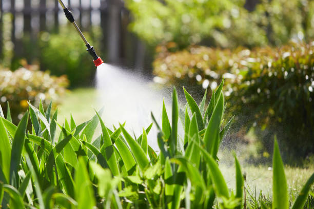 24/7 Emergency Termite Control experts in Lawtey, FL