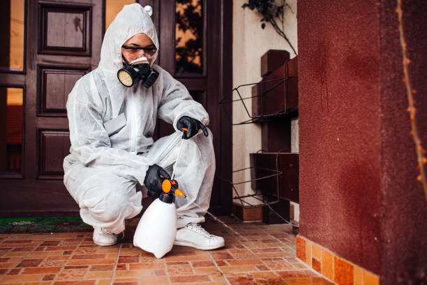 Reliable Termite Control contractor in Lawtey, FL by Nex Pest Control