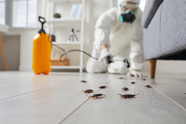Affordable Termite Control solutions in Lawtey, FL