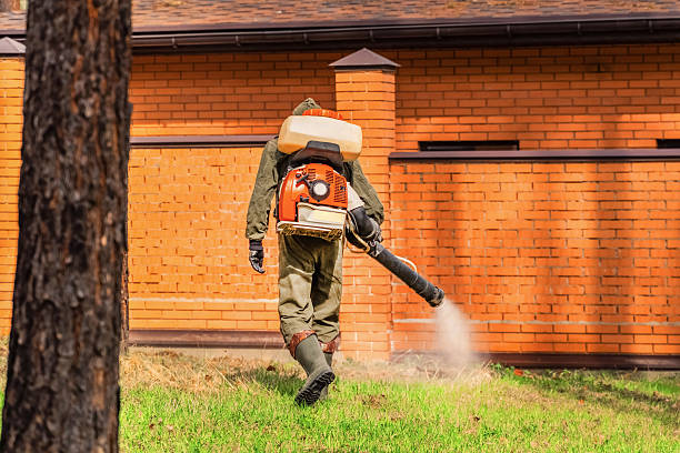 Top rated local Termite Control specialists in Lawtey, FL